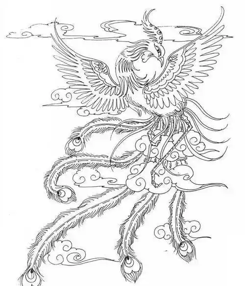 凤凰圆形素描简笔画