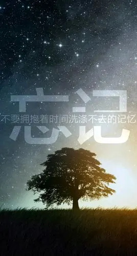 安卓壁纸 iphone壁纸 忘记 星空 大树 分割字壁纸