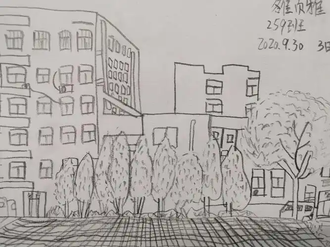 2020初一年级校园风景速写