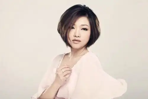 陈瑞的嗓音极有特色,略微沙哑,沧桑中带着淡淡的伤感,而又有磁性