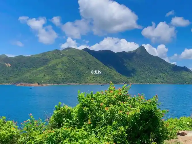香港蓝天白云无滤镜下的黄茅洲太太太美了