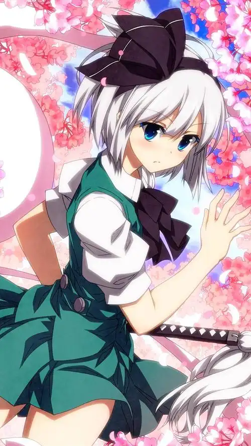 东方project魂魄妖梦