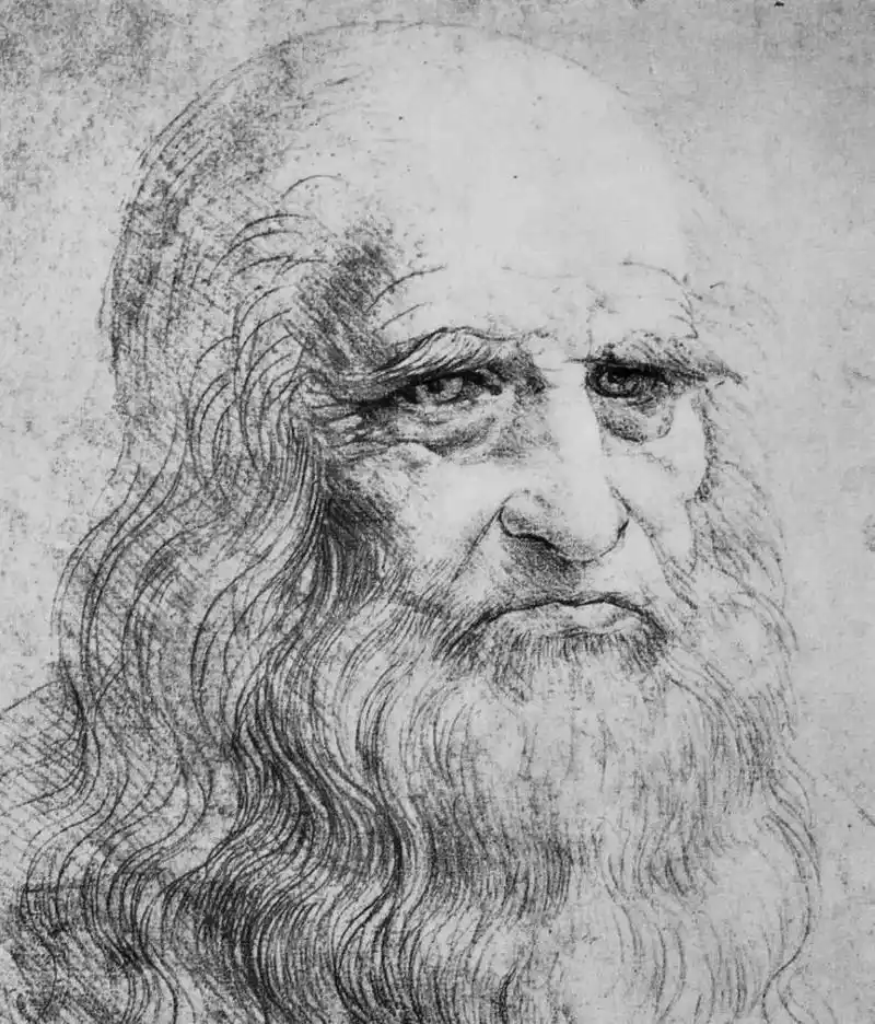 《大师素描》达芬奇