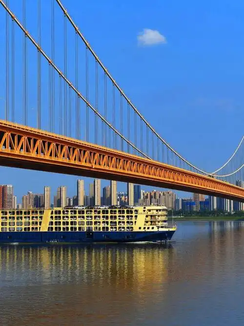 汉阳百年影像首次公开!百年前的武汉江面长这样|武汉市|汉阳区|武汉长