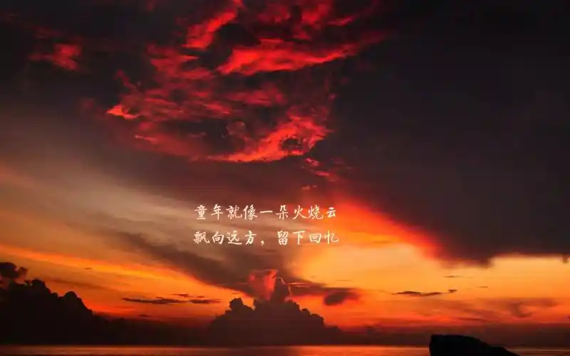 "我是世界上最伟大的投手!" 自信和坚持决定你的人生高度