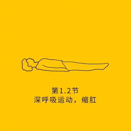 提肛运动应该怎么做