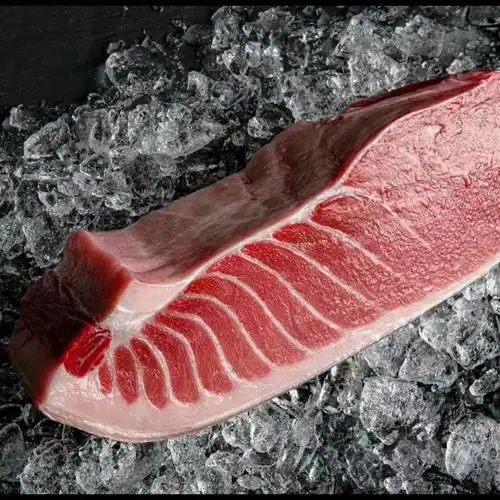 西班牙蓝鳍金枪鱼进口