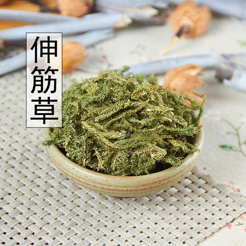 新货伸筋草野生舒筋草 透骨草 三宝茶原料远志益智仁500克可磨粉