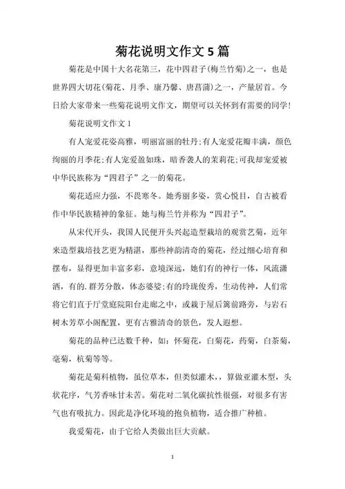 菊花说明文作文5篇