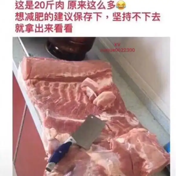 20斤肉,这么大!