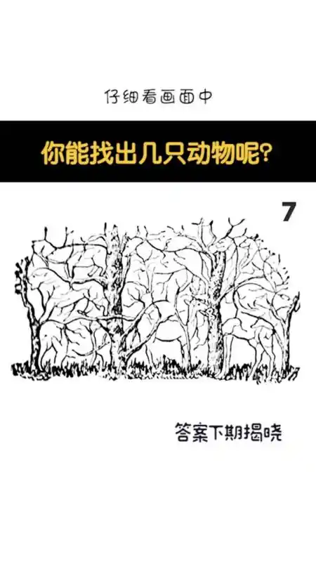 考眼力#你能找出几个动物呢?