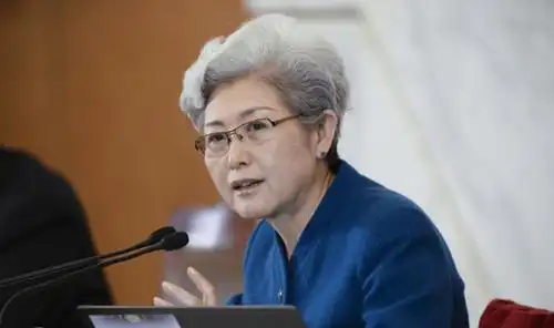 以优雅著称的发言人傅莹,最近怼过谁?