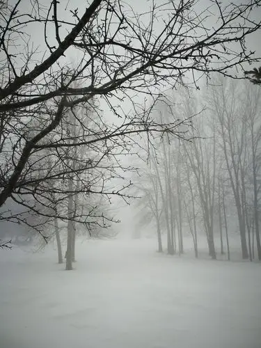 三行诗爱在雪中飘在那年