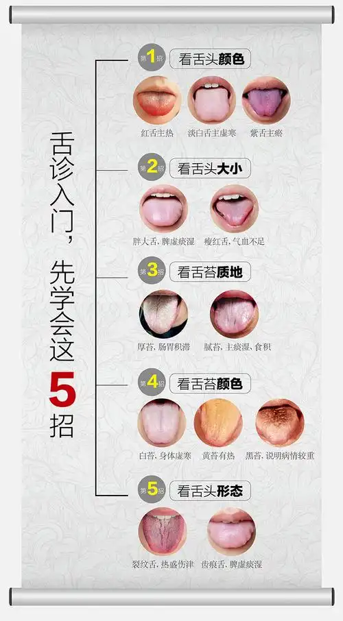 舌诊入门到精通 吴中朝 主编 零基础学舌诊 珍贵舌象