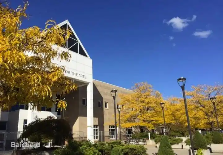 纽约州立大学布法罗分校位于纽约州第二大城市布法罗(又称水牛城)北部