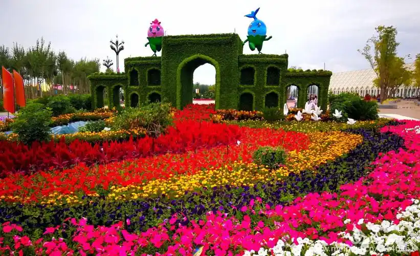 姹紫嫣红花博园——第9届中国花卉博览会(银川)