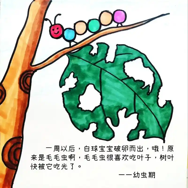 蝴蝶的一生创意儿童画,蝴蝶的成长过程.#图文种草机 #自制绘 - 抖音