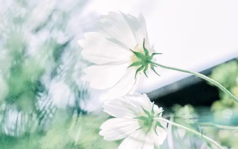 小清新蓝色风景,高清图片,电脑桌面-壁纸族