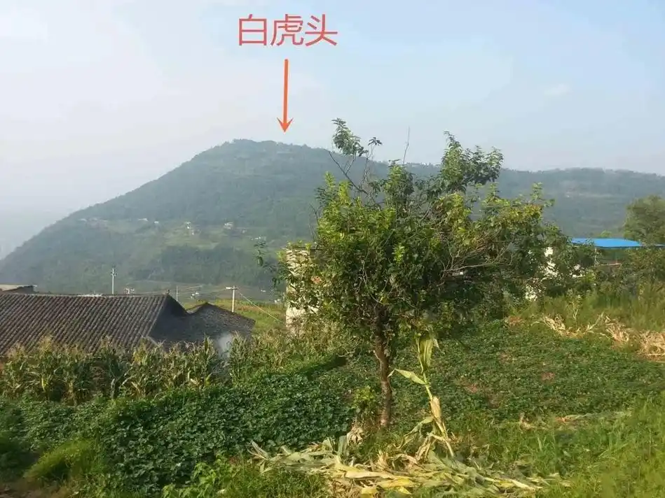 盗墓口诀和风水学说是相通的