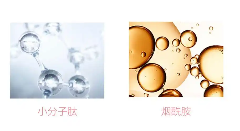 面霜测评|秋冬值得入手之爱妃丽尔小分子肽焕颜霜实质拆解-晚九点