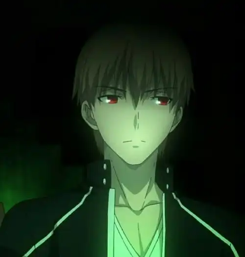 金闪闪,吉尔伽美什,fate stay night