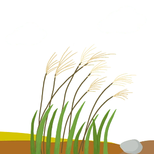 pngpsd2000*2000中国风水墨画芦苇雪景随风摆pngpsd2000*2000秋季芦苇