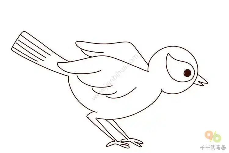 笔画黄鹂简笔画美丽的黄鹂鸟幼儿园学习网黄鹂简笔画儿童黄鹂鸟简笔画