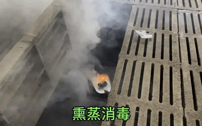 今天给猪舍熏蒸消毒