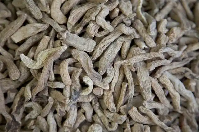 赤箭的用药禁忌