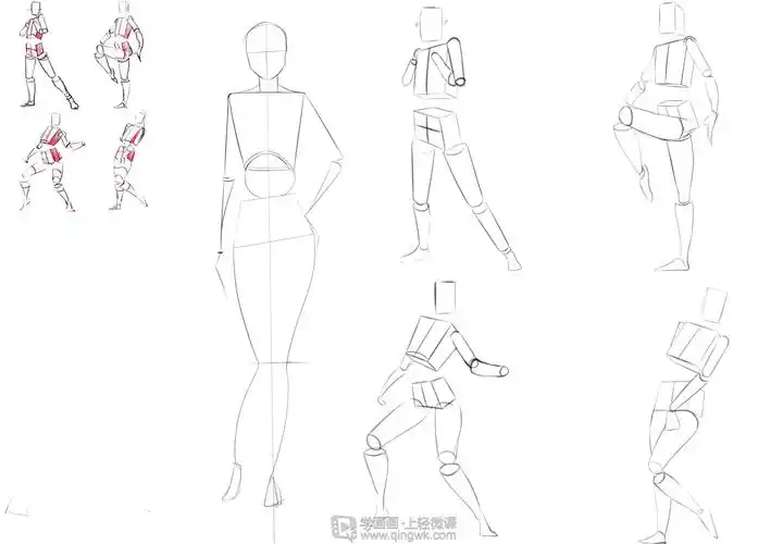 作业:如何学画板绘动漫人物之人体临摹画法与训练技巧 - 伞伞