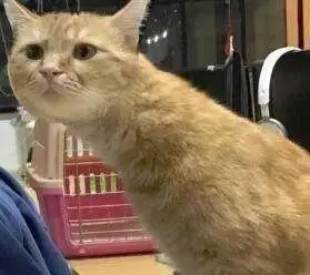 换情头表情包 - 换情头微信表情包 - 换情头qq表情包 - 发表情 fa