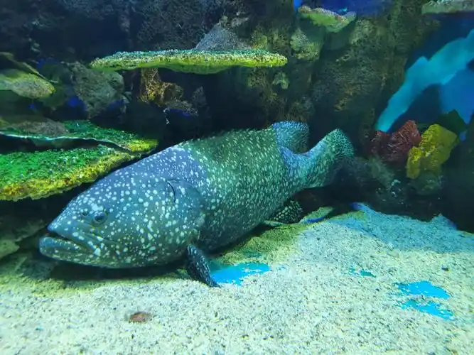 石林冰雪海洋世界