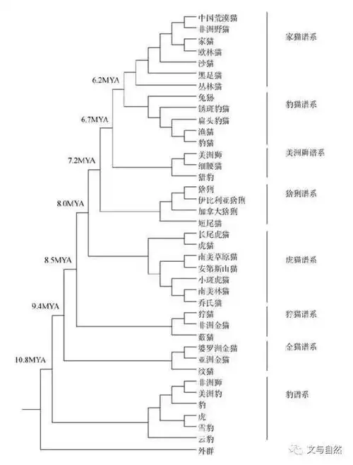入主题前,首先大家简单了解一下分类学上对生物的分类,域→界→门→纲