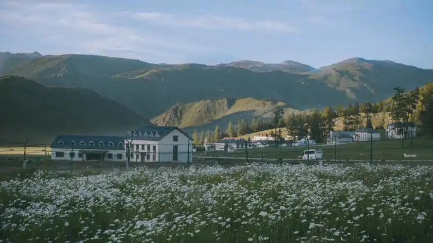 令人心动的是感觉一组ipad壁纸