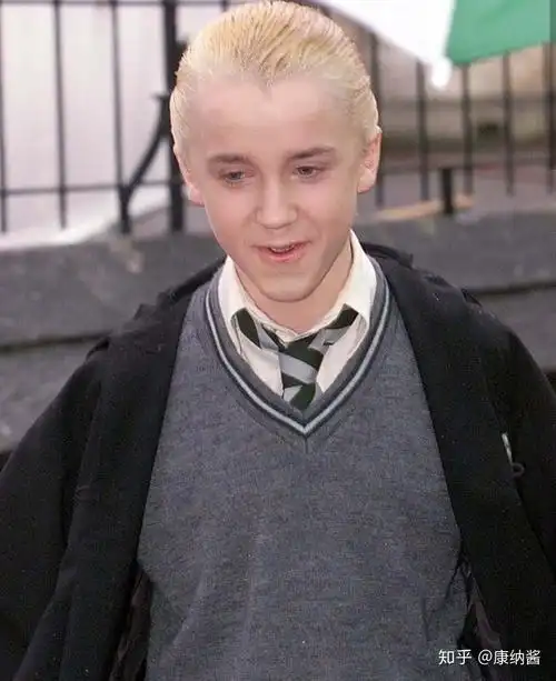 求类似于这样的德拉科马尔福美图,貌似这是在套图里的,要高清一点的.