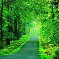 微信头像图片大全 唯美风景头像