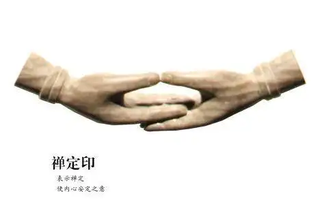 禅定印:禅定印以双手仰放下腹前,右手置于左手上,两拇指的指端相接.