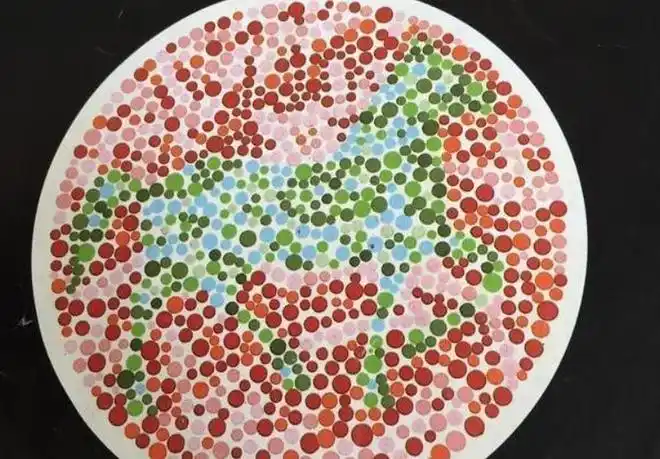 6张车管所常见的色盲图,看不出第1张,基本与开车无缘|色弱|体检|色觉