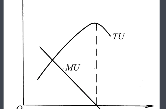 运用边际效用带你去买菜