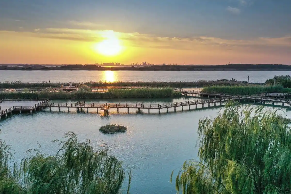 江苏:美丽长江新景色