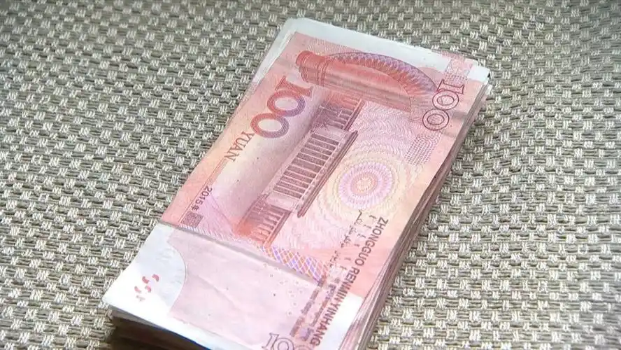 67【"天降"一万六后续】是她把钞票放进余新老太家