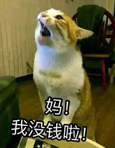 找妈妈讨生活费表情包妈我没钱了