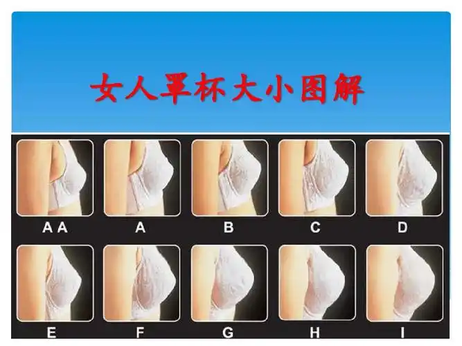 女人罩杯大小图解