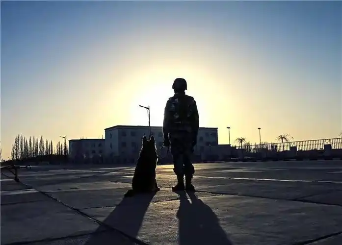 美图一位退伍老兵眼中的边疆风情万种