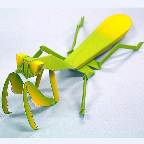 儿童手工折纸diy拼装益智立体纸质模型仿真昆虫螳螂益智玩具制作