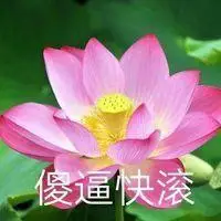 莲花头像带字 佛系莲花头像带字_微信头像图片大全