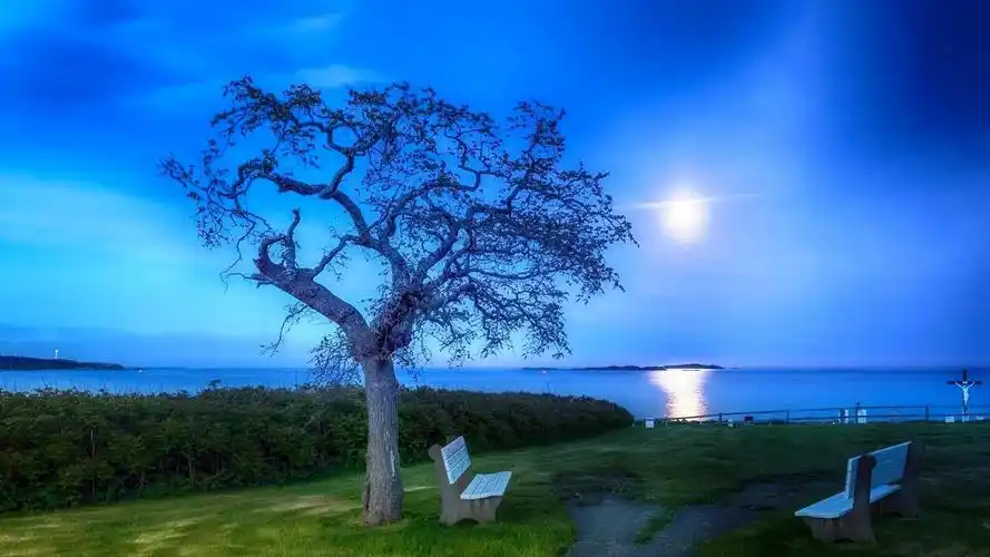 精选唯美意境自然风光桌面壁纸