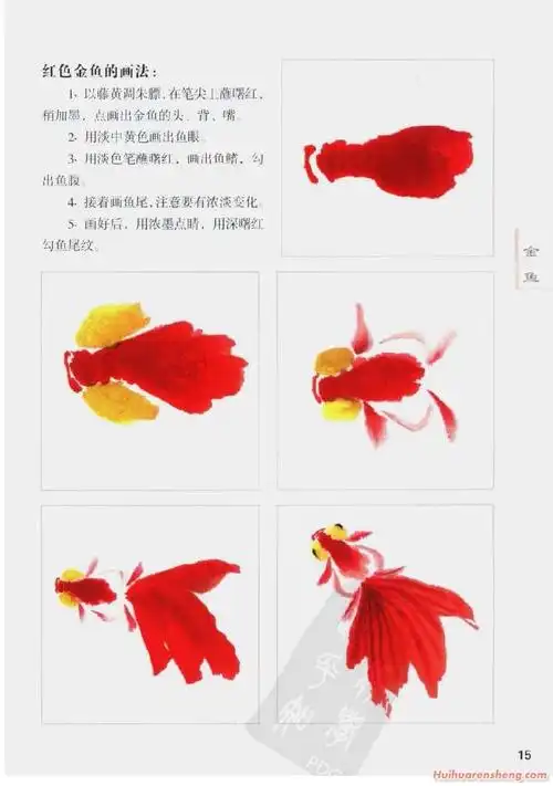 国画《金鱼的几种写意画法》技法详解