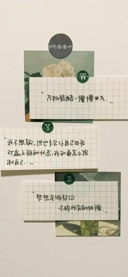 关注  壁纸 手写 文字壁纸 ins潮图 评论 收藏