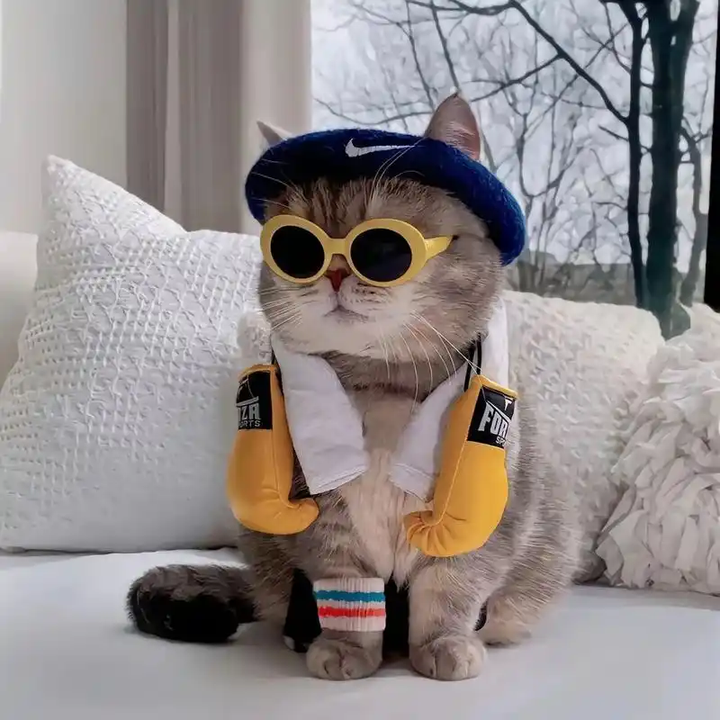 93 喵~ 各位铲屎官们,我来分享一些超级可爱的微信猫咪头像啦!